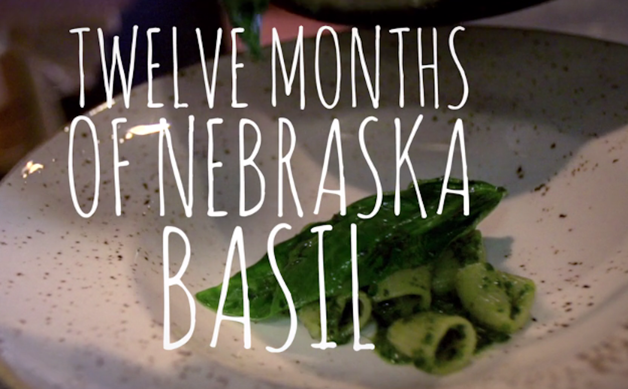 12 Months of Nebraska Basil