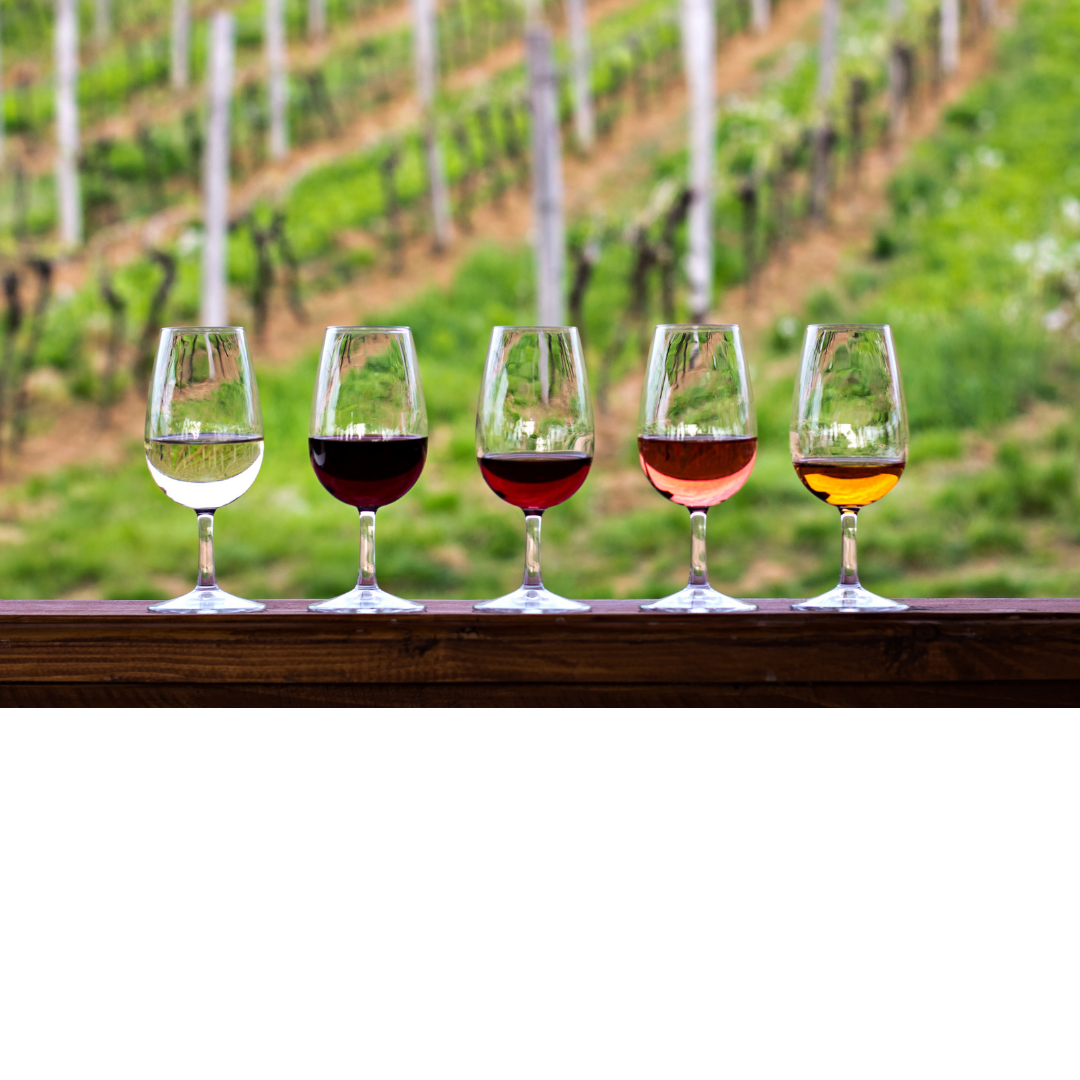 Friuli Wine Class
