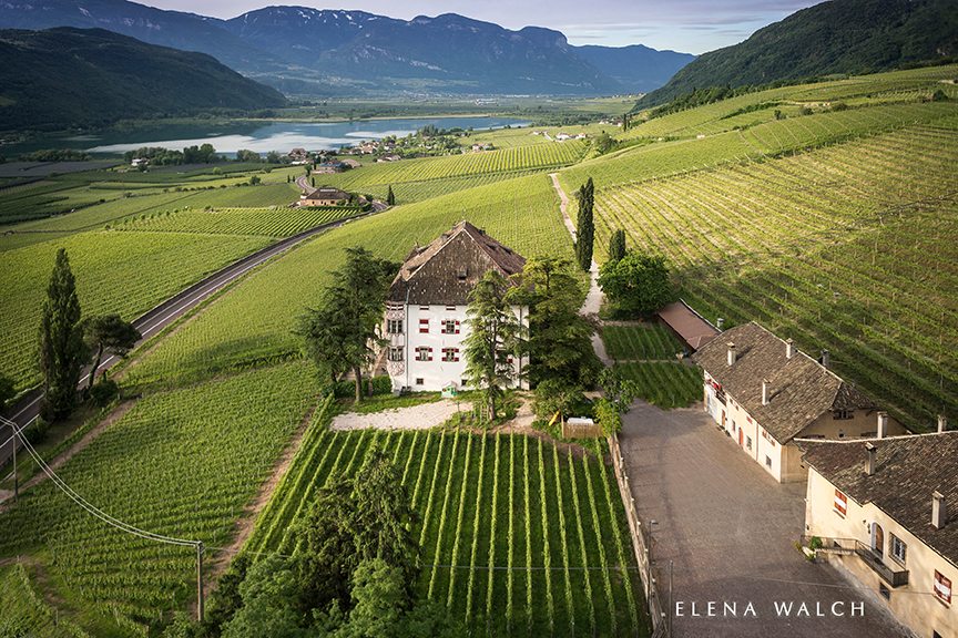 Elena Walch Pop-Up Wine Tasting at Dante