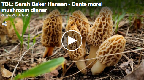 Dining notes: Dante Morel Mushroom Dinner Back for Spring