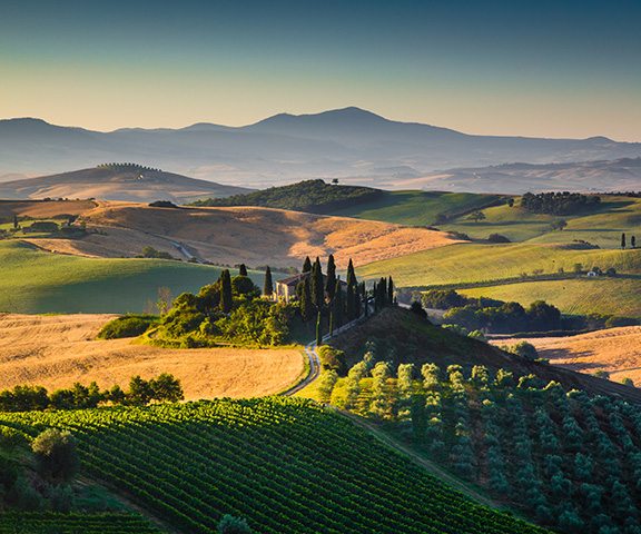 Classic Wines of Tuscany Dinner