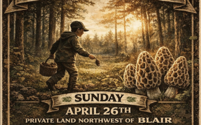 Youth Morel Mushroom Day